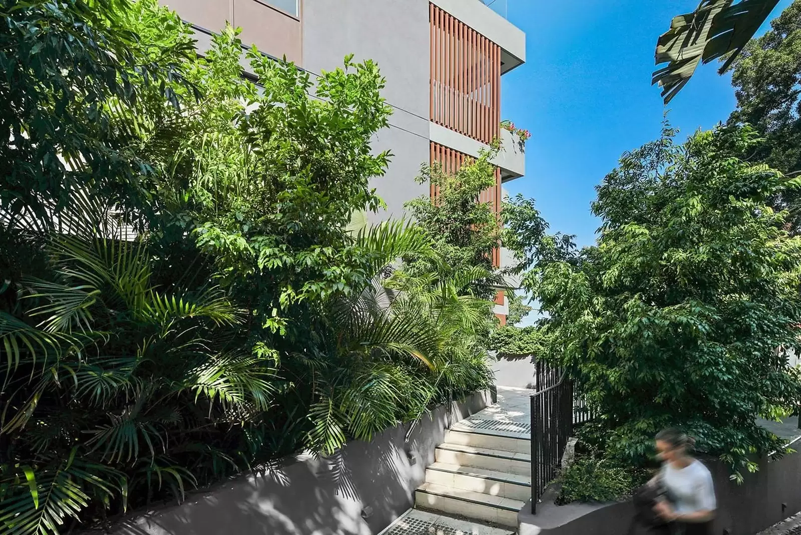 10/1 Yawang Lane, Bellevue Hill For Sale by Sydney Sotheby's International Realty - image 16