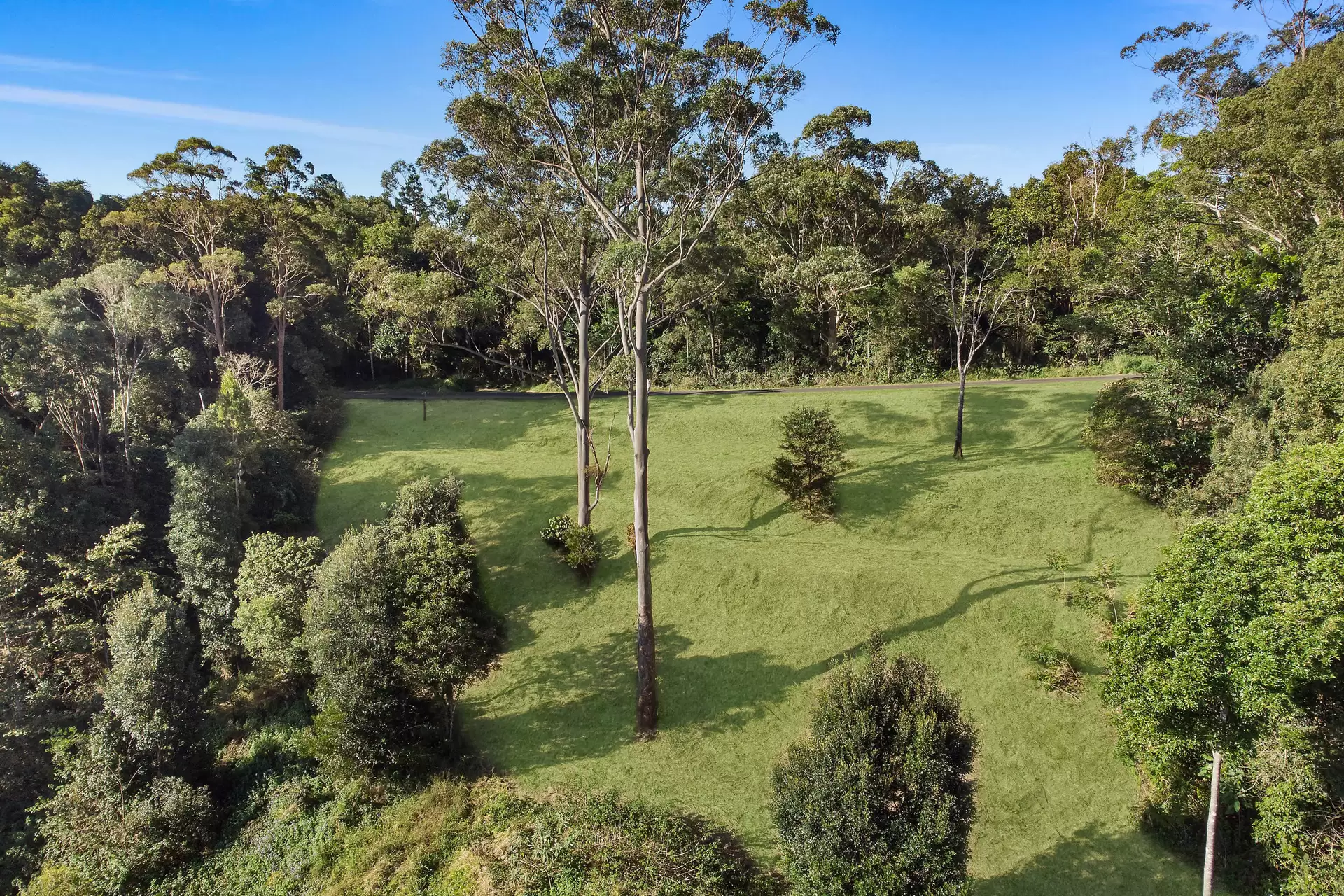 43 Newes Road, Coorabell For Sale by Sydney Sotheby's International Realty - image 7