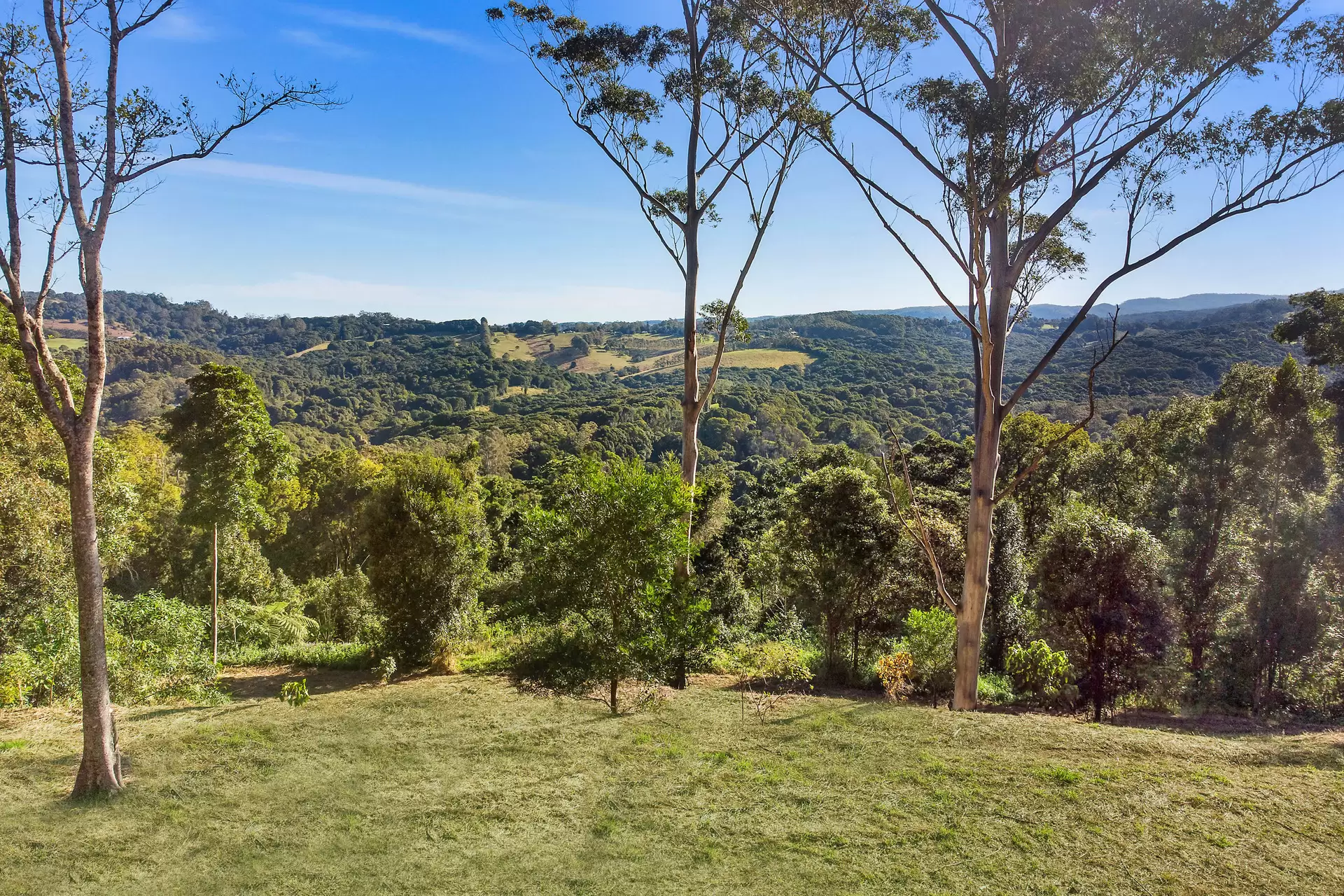 43 Newes Road, Coorabell For Sale by Sydney Sotheby's International Realty - image 9