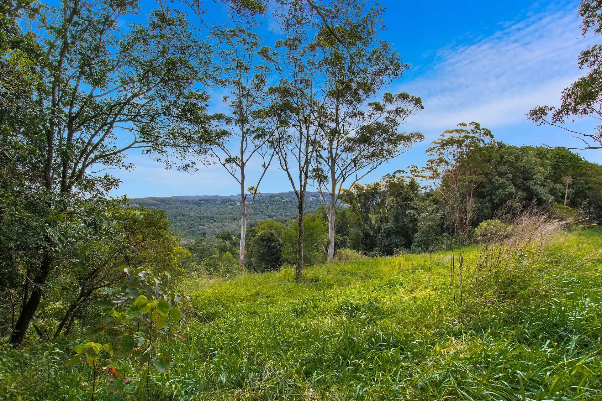43 Newes Road, Coorabell For Sale by Sydney Sotheby's International Realty - image 10