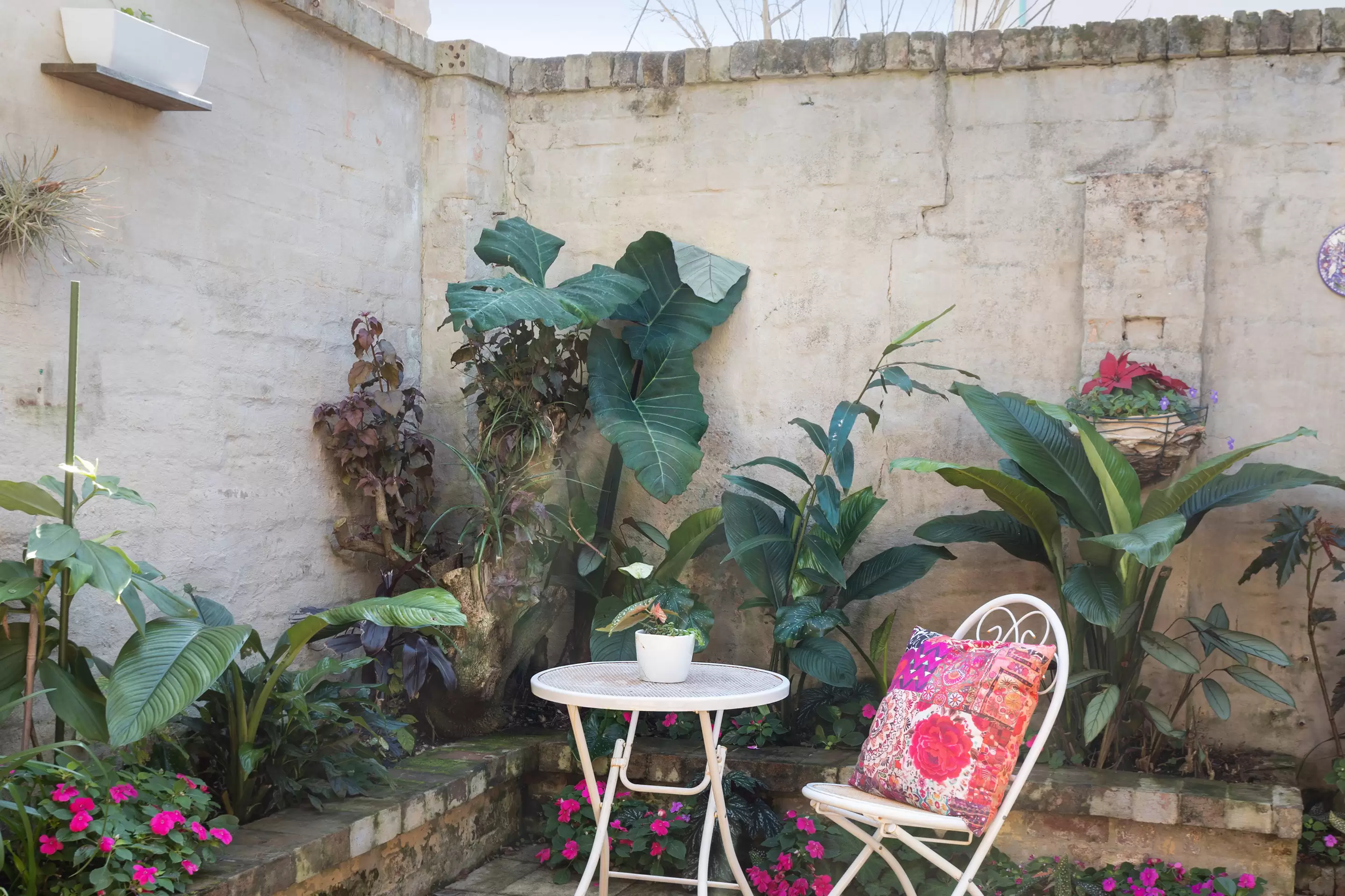 8 Gipps Street, Paddington Sold by Sydney Sotheby's International Realty - image 6