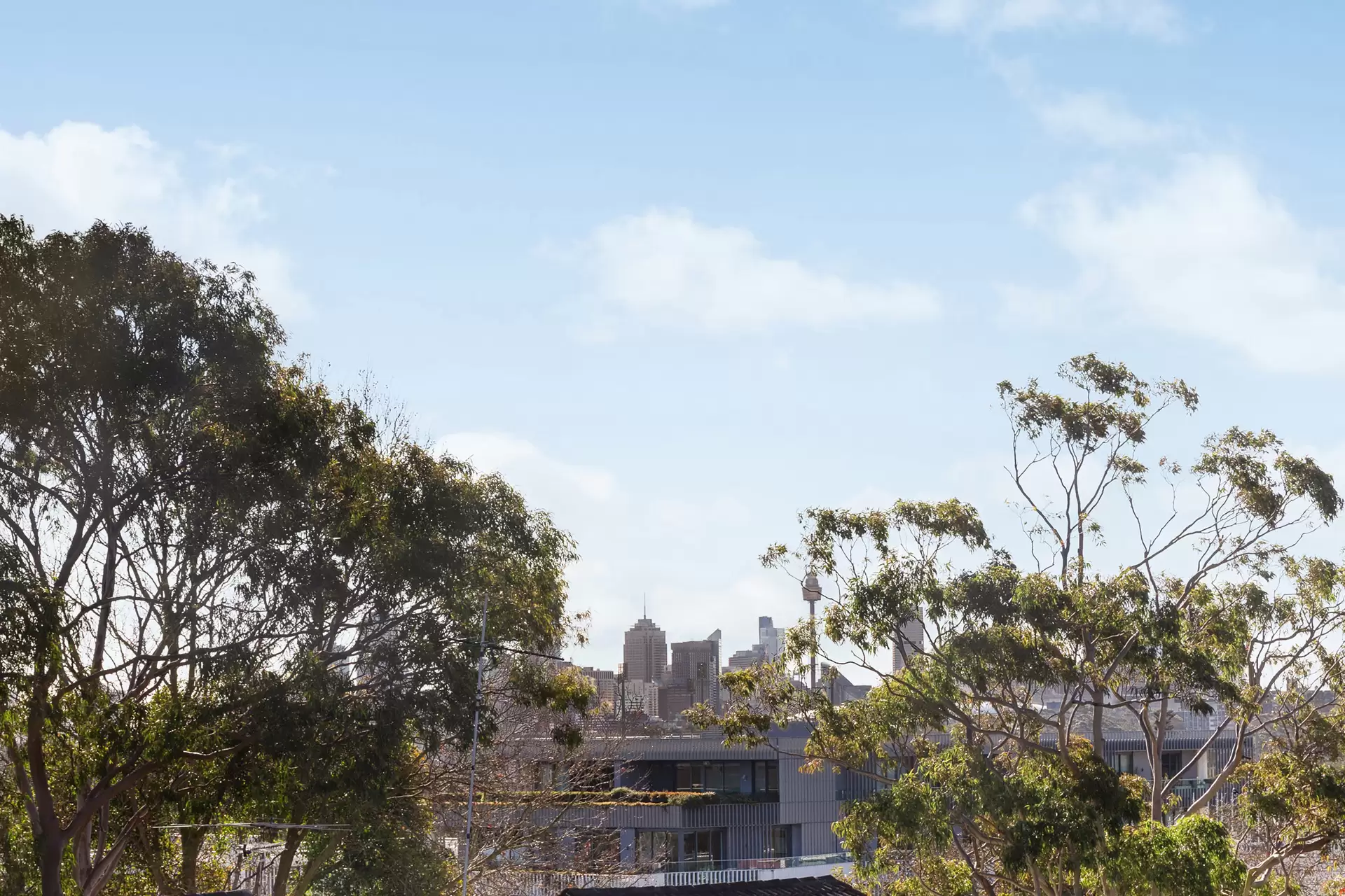 21/3-11 Church Street, Randwick Sold by Sydney Sotheby's International Realty - image 6
