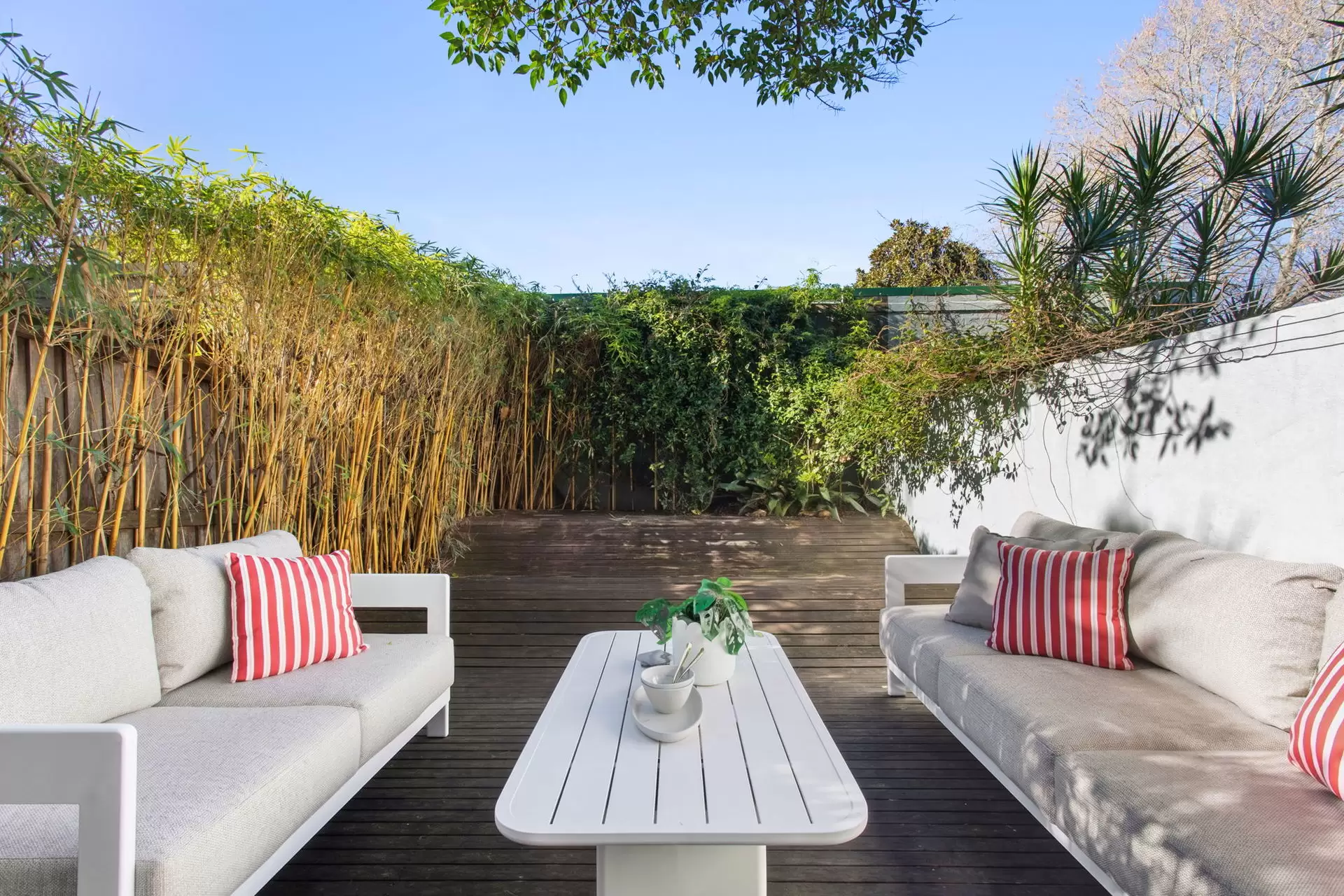 126 Womerah Avenue, Darlinghurst Sold by Sydney Sotheby's International Realty - image 3