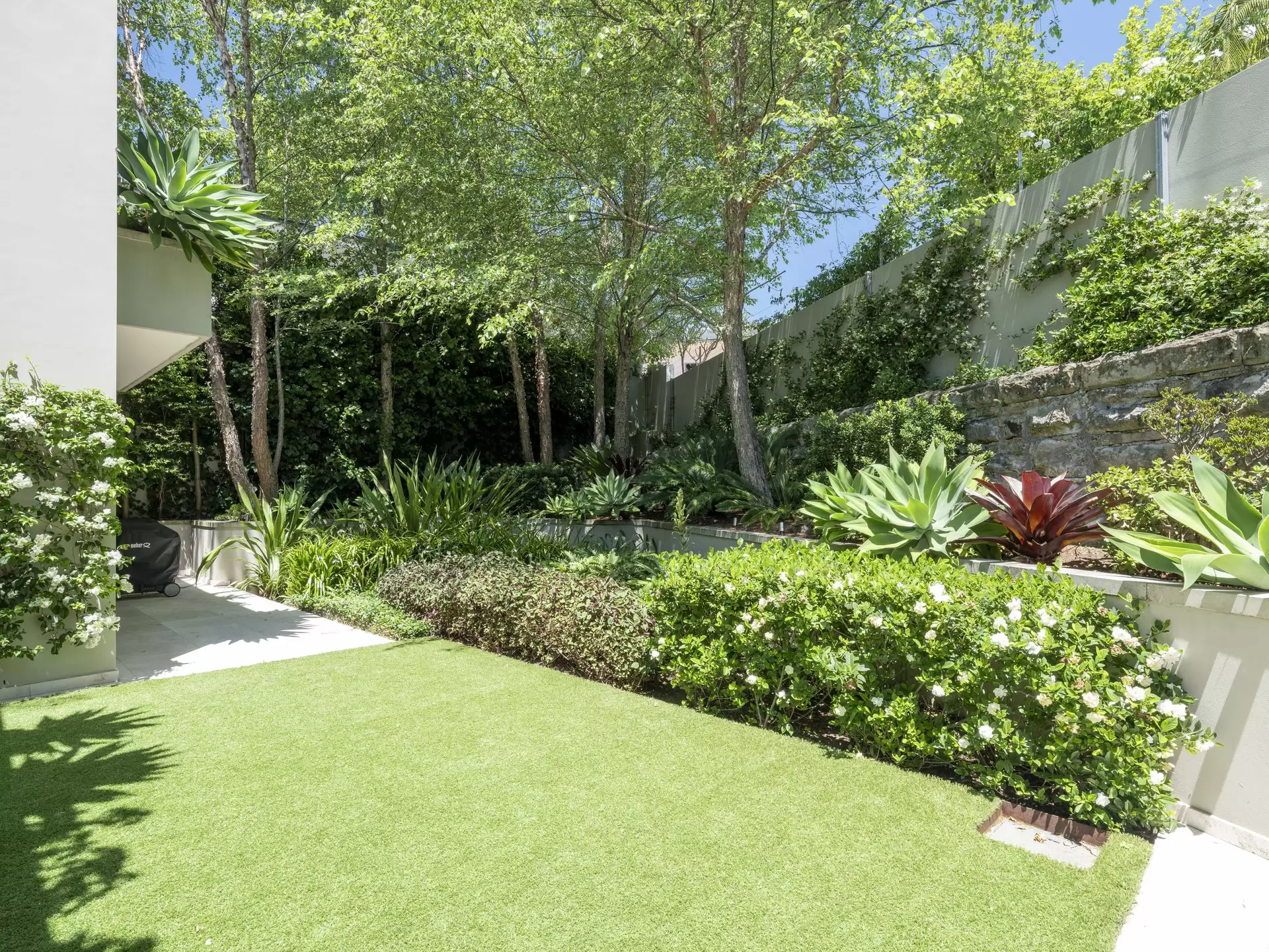 406 Edgecliff Road, Woollahra For Sale by Sydney Sotheby's International Realty - image 1