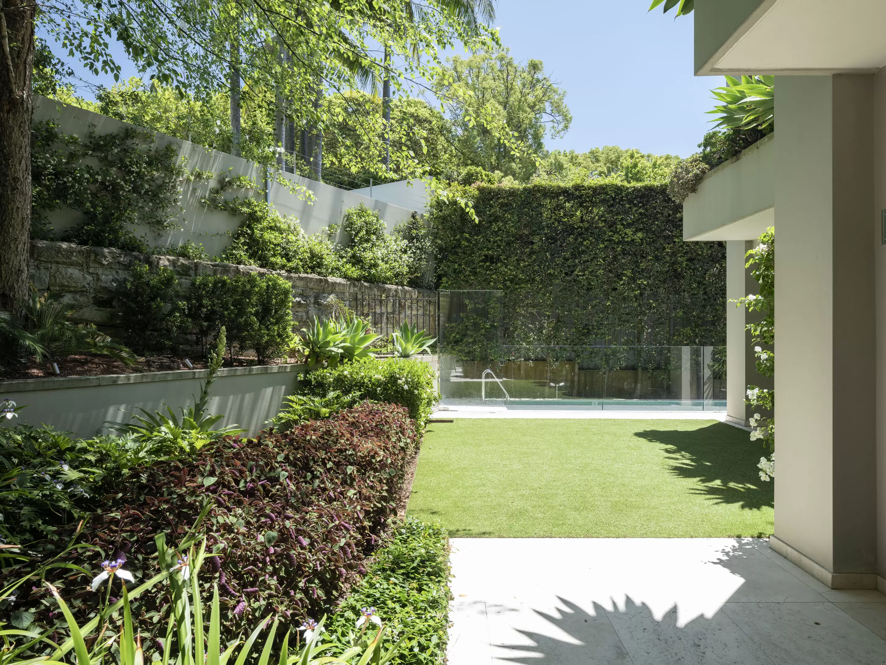 406 Edgecliff Road, Woollahra For Sale by Sydney Sotheby's International Realty - image 8