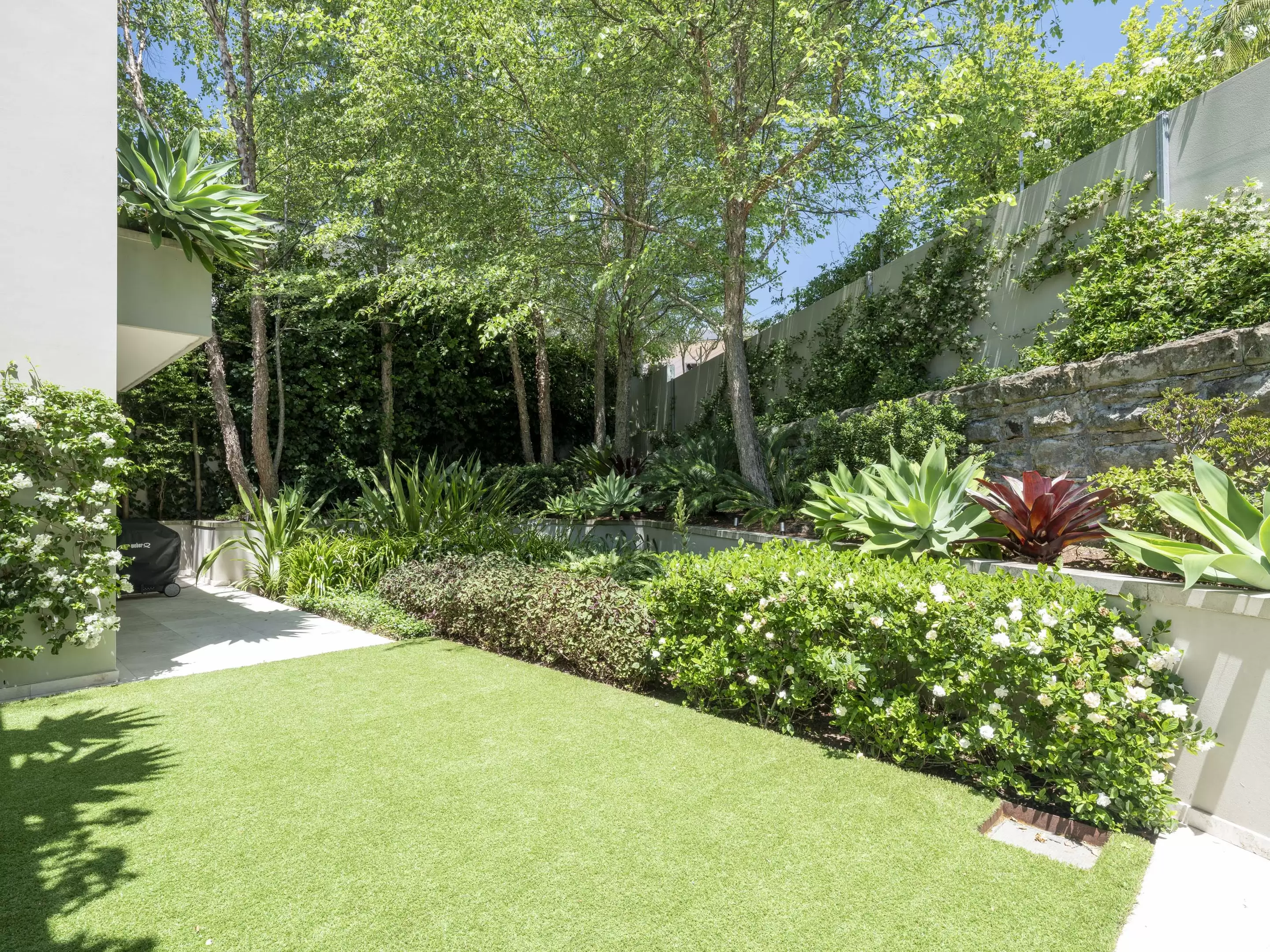 406 Edgecliff Road, Woollahra For Sale by Sydney Sotheby's International Realty - image 9