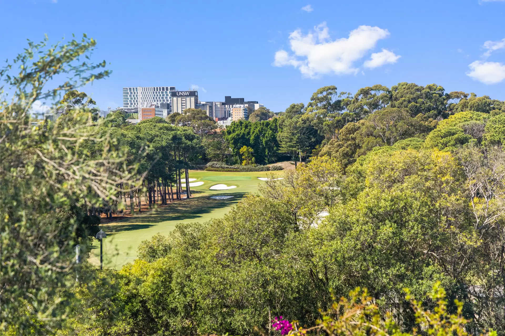 27 Bannerman Crescent, Rosebery Sold by Sydney Sotheby's International Realty - image 8