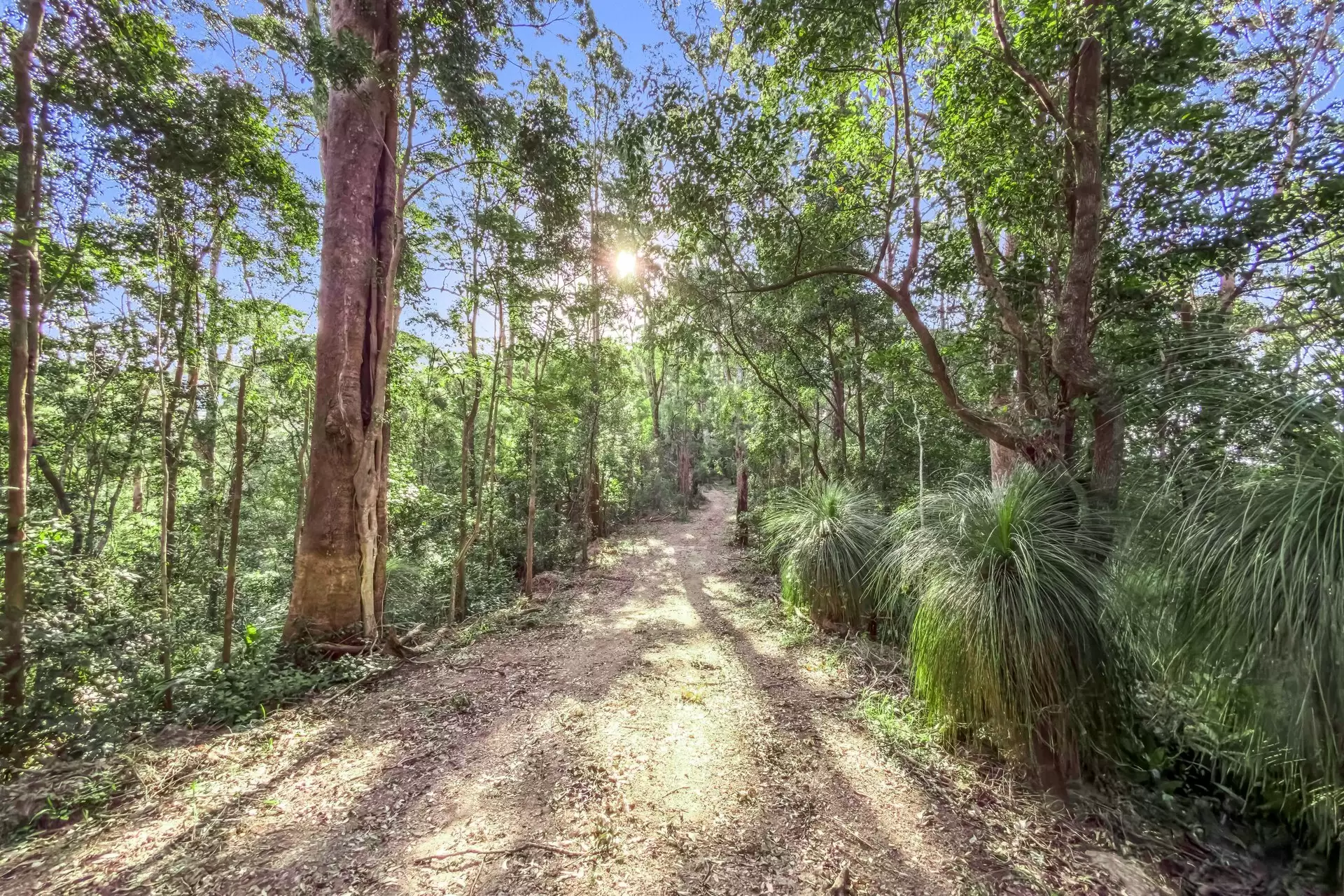 112 Pimble Valley Road, Crabbes Creek For Sale by Sydney Sotheby's International Realty - image 9