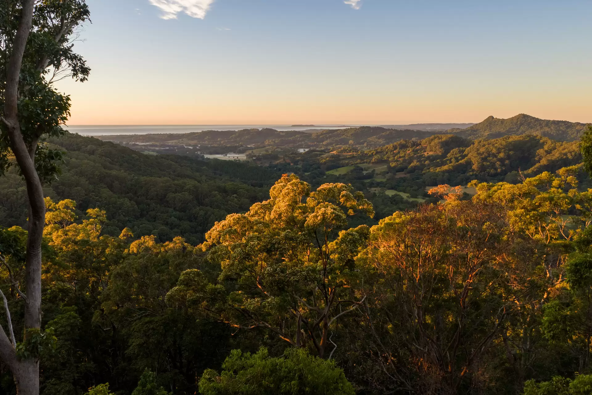112 Pimble Valley Road, Crabbes Creek For Sale by Sydney Sotheby's International Realty - image 2