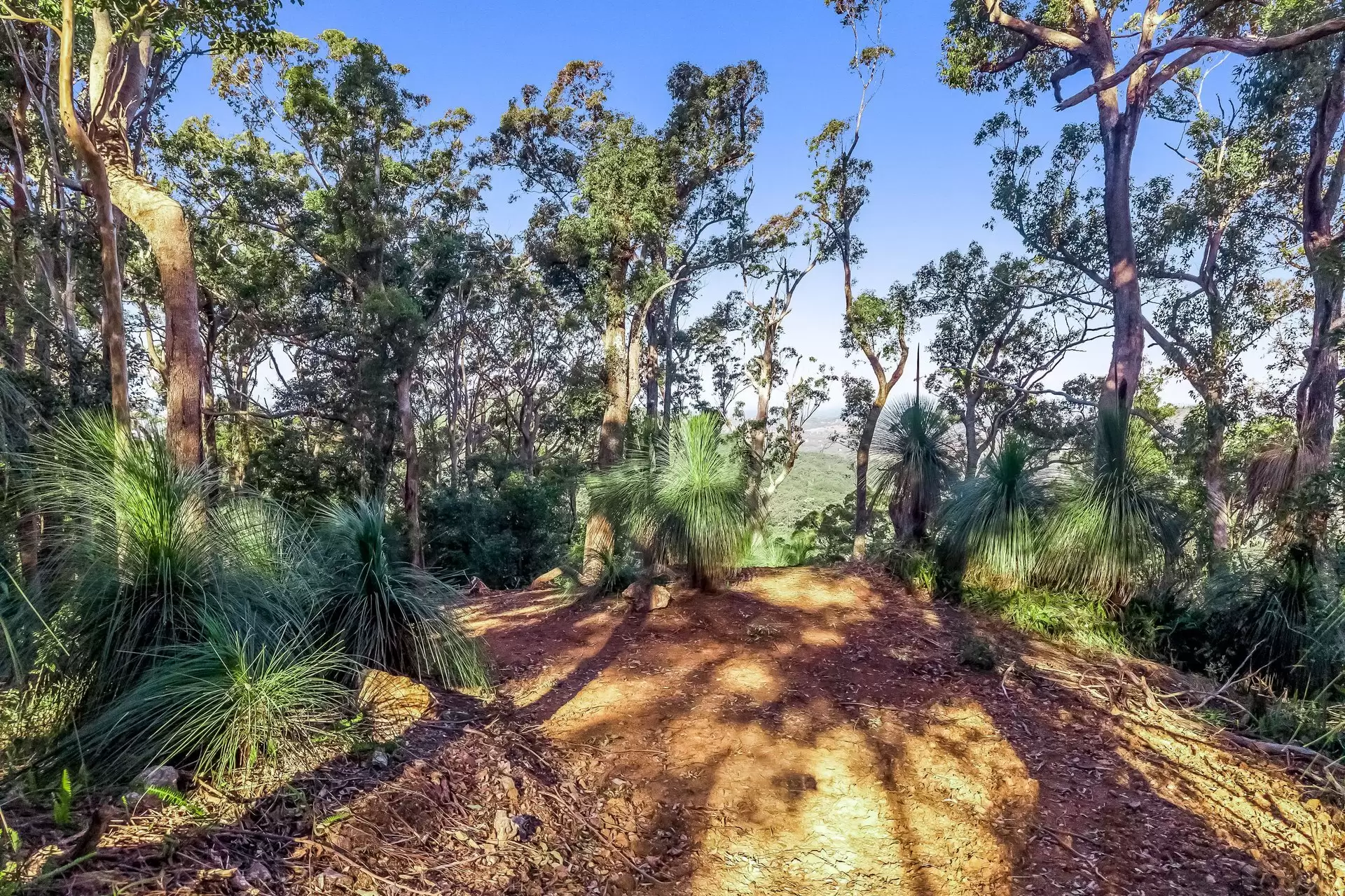 112 Pimble Valley Road, Crabbes Creek For Sale by Sydney Sotheby's International Realty - image 8
