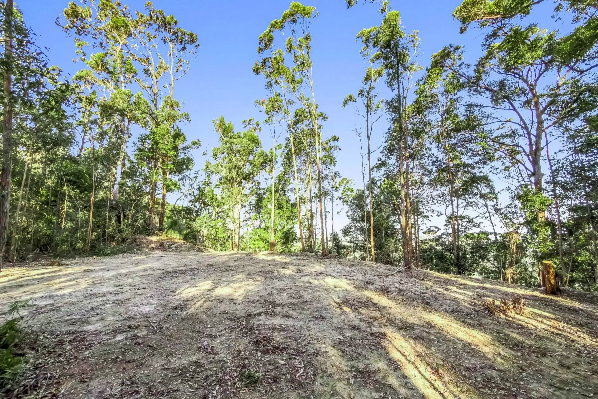 112 Pimble Valley Road, Crabbes Creek For Sale by Sydney Sotheby's International Realty - image 10