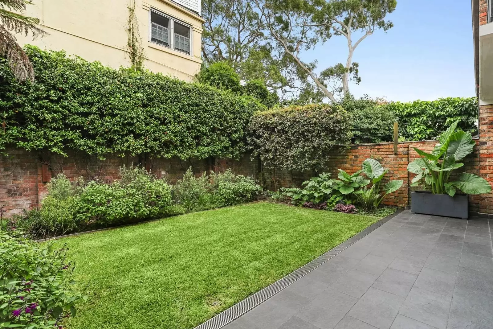 3/5 Trelawney Street, Woollahra Leased by Sydney Sotheby's International Realty - image 2