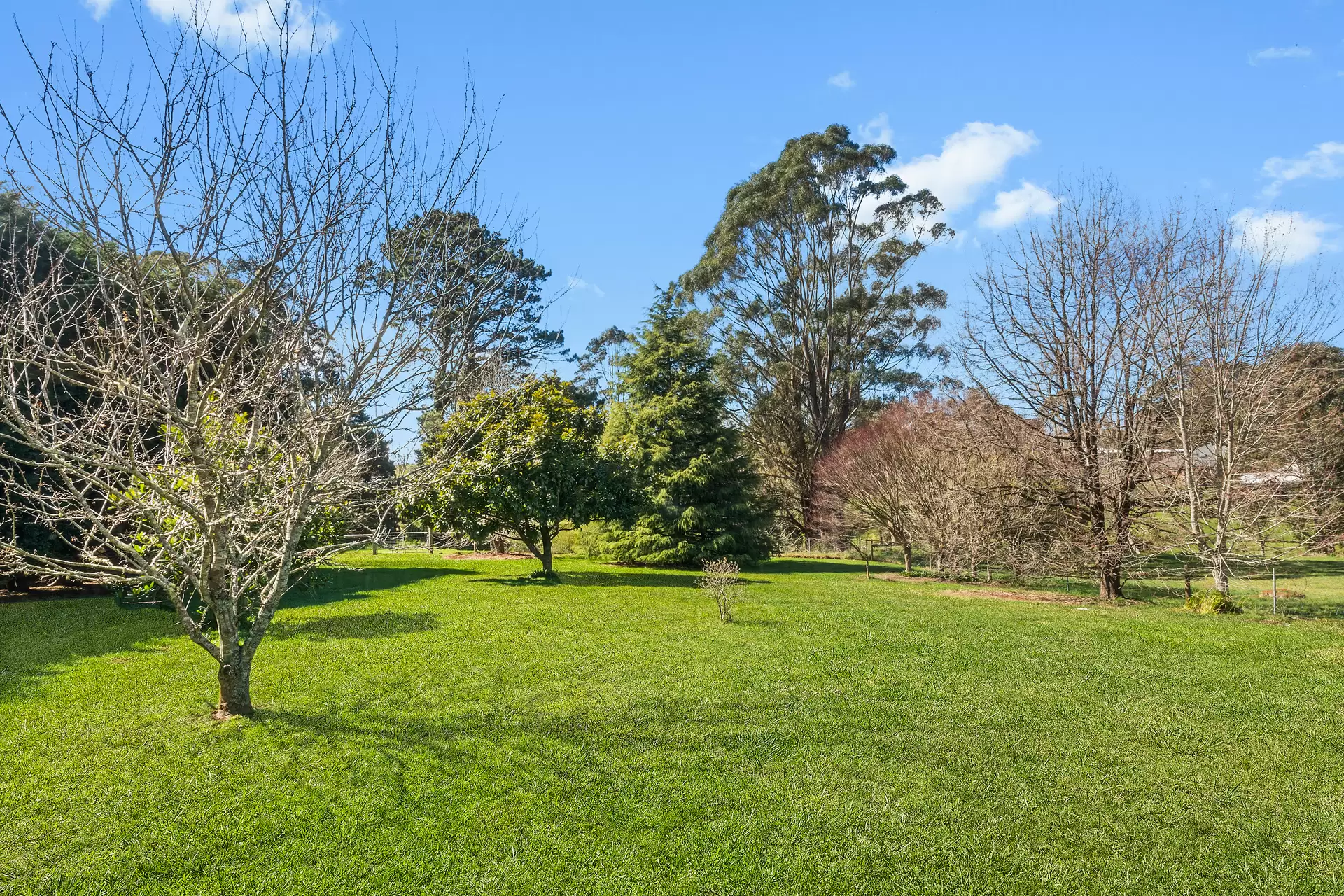37 May Street, Robertson For Sale by Sydney Sotheby's International Realty - image 11