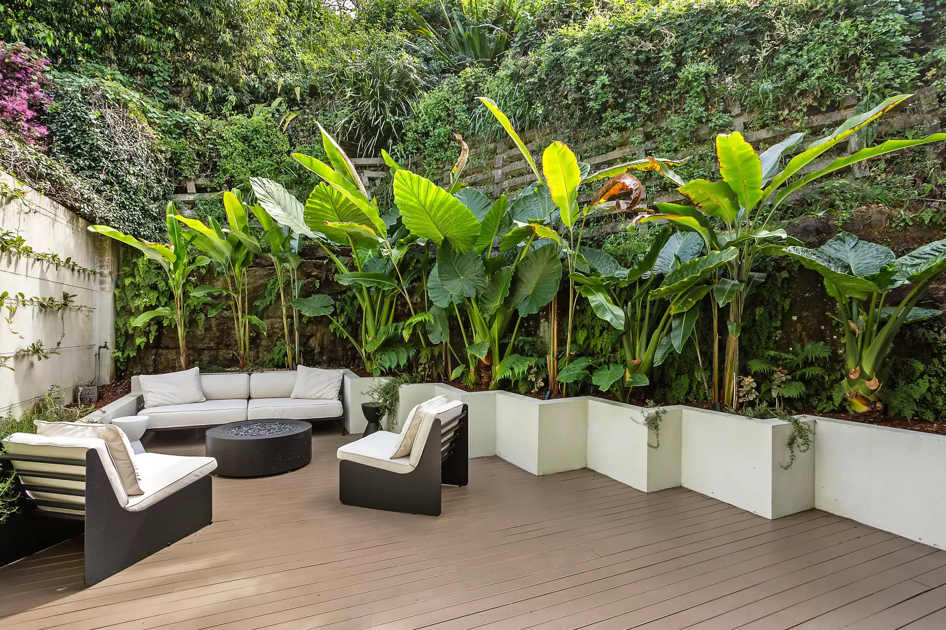 38A Brown Street, Bronte Auction by Sydney Sotheby's International Realty - image 5