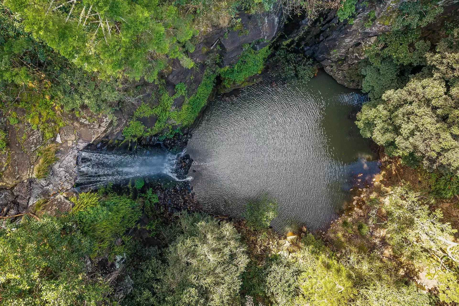 721 Pinchin Road, Goolmangar For Sale by Sydney Sotheby's International Realty - image 8