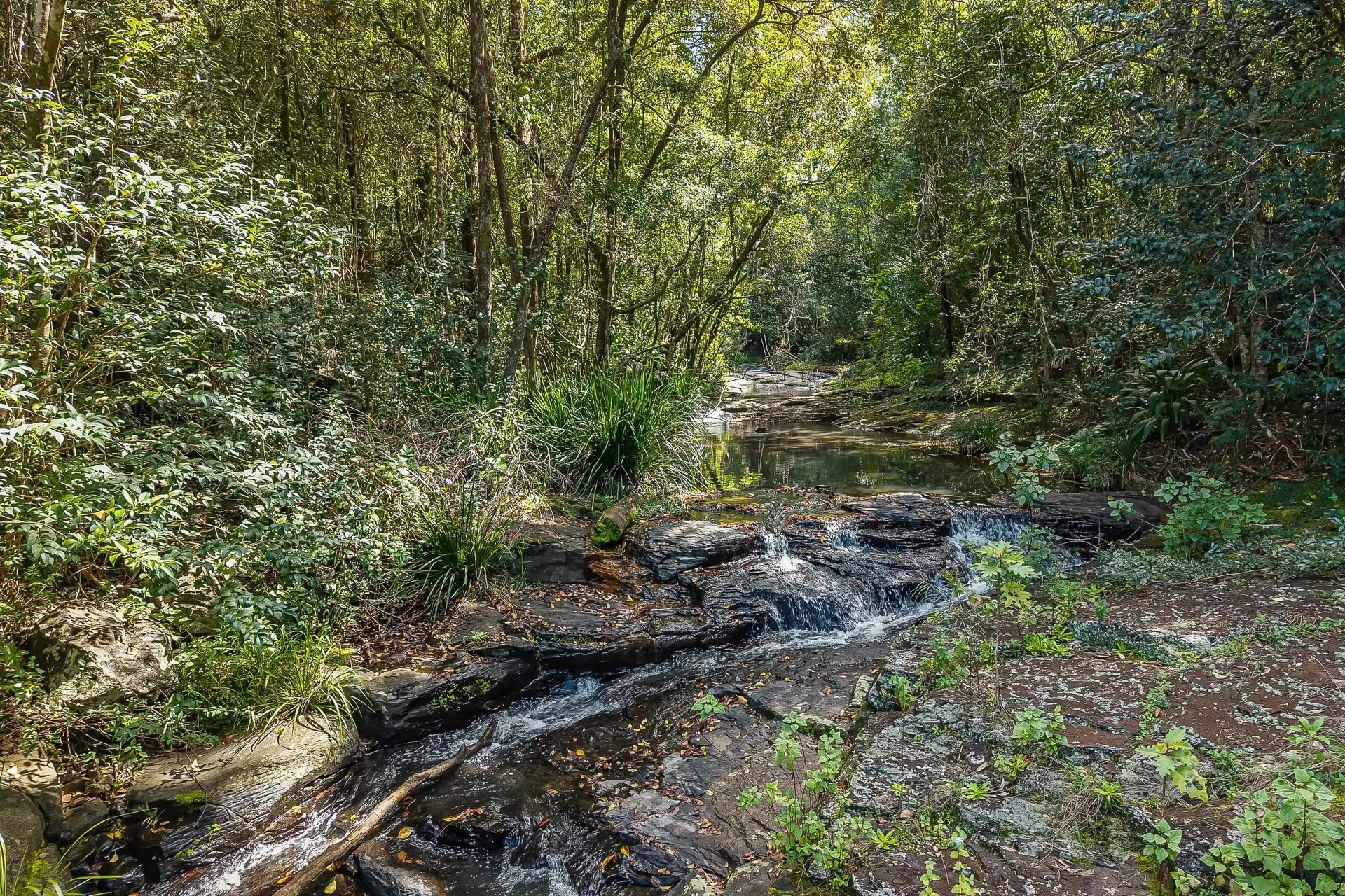 721 Pinchin Road, Goolmangar For Sale by Sydney Sotheby's International Realty - image 6