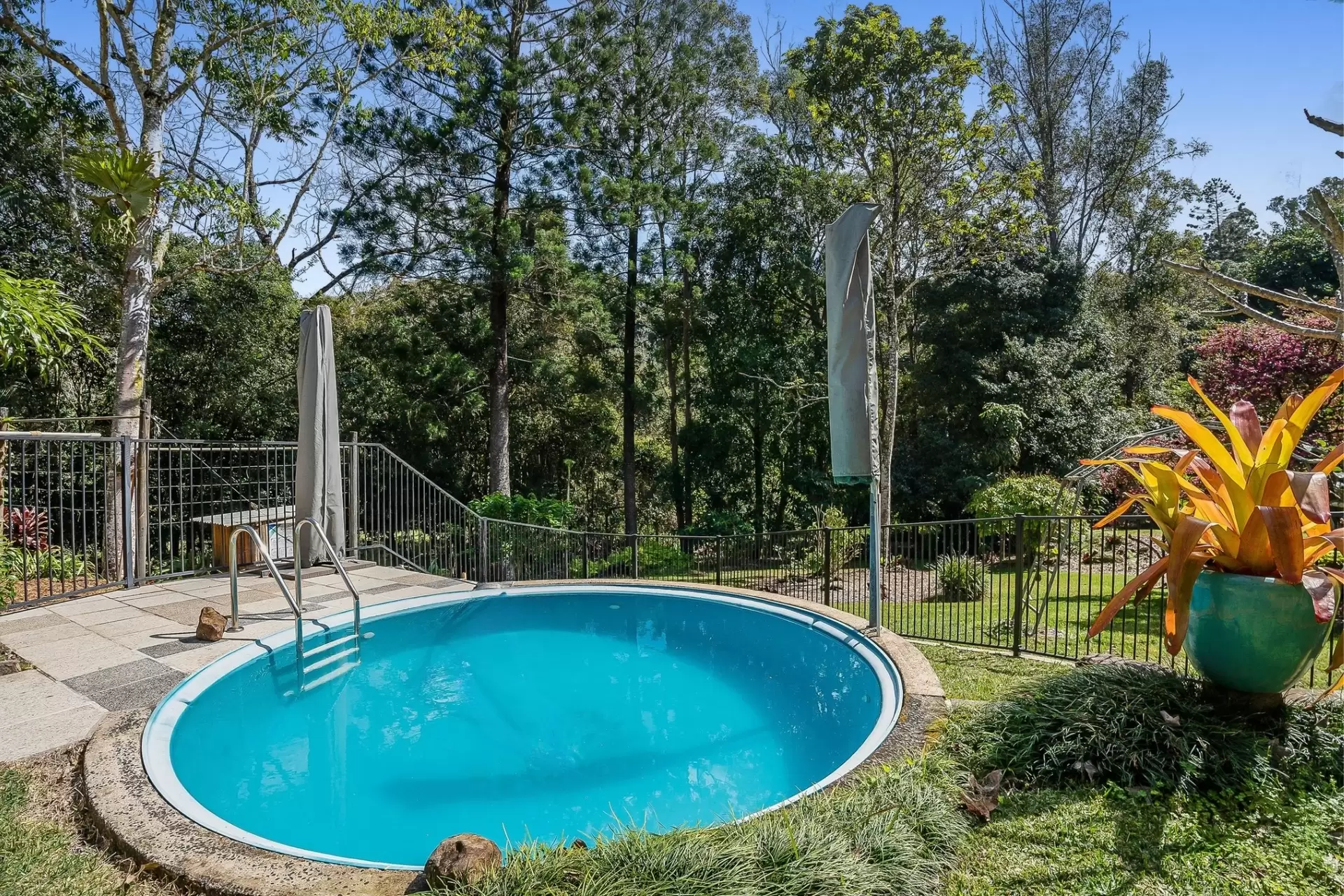 721 Pinchin Road, Goolmangar For Sale by Sydney Sotheby's International Realty - image 3