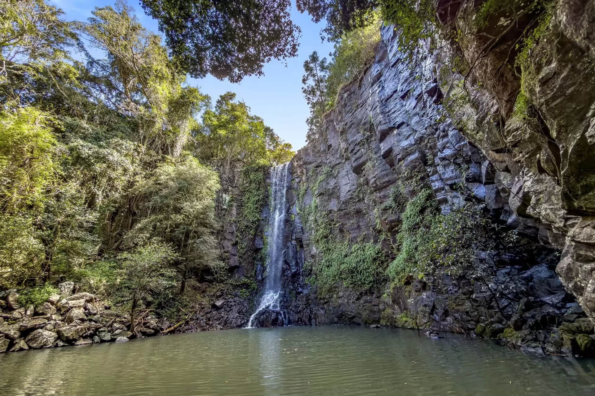 721 Pinchin Road, Goolmangar For Sale by Sydney Sotheby's International Realty - image 7