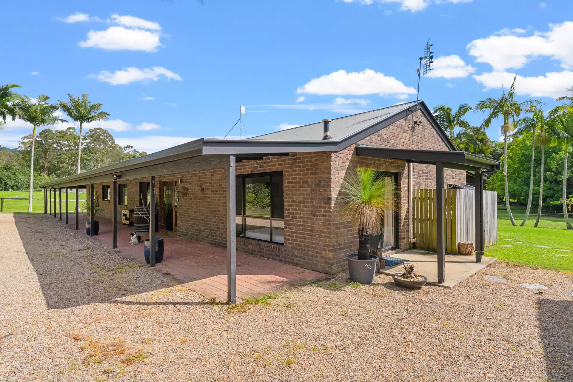 123 Yankee Creek Road, Mullumbimby Creek Auction by Sydney Sotheby's International Realty - image 3