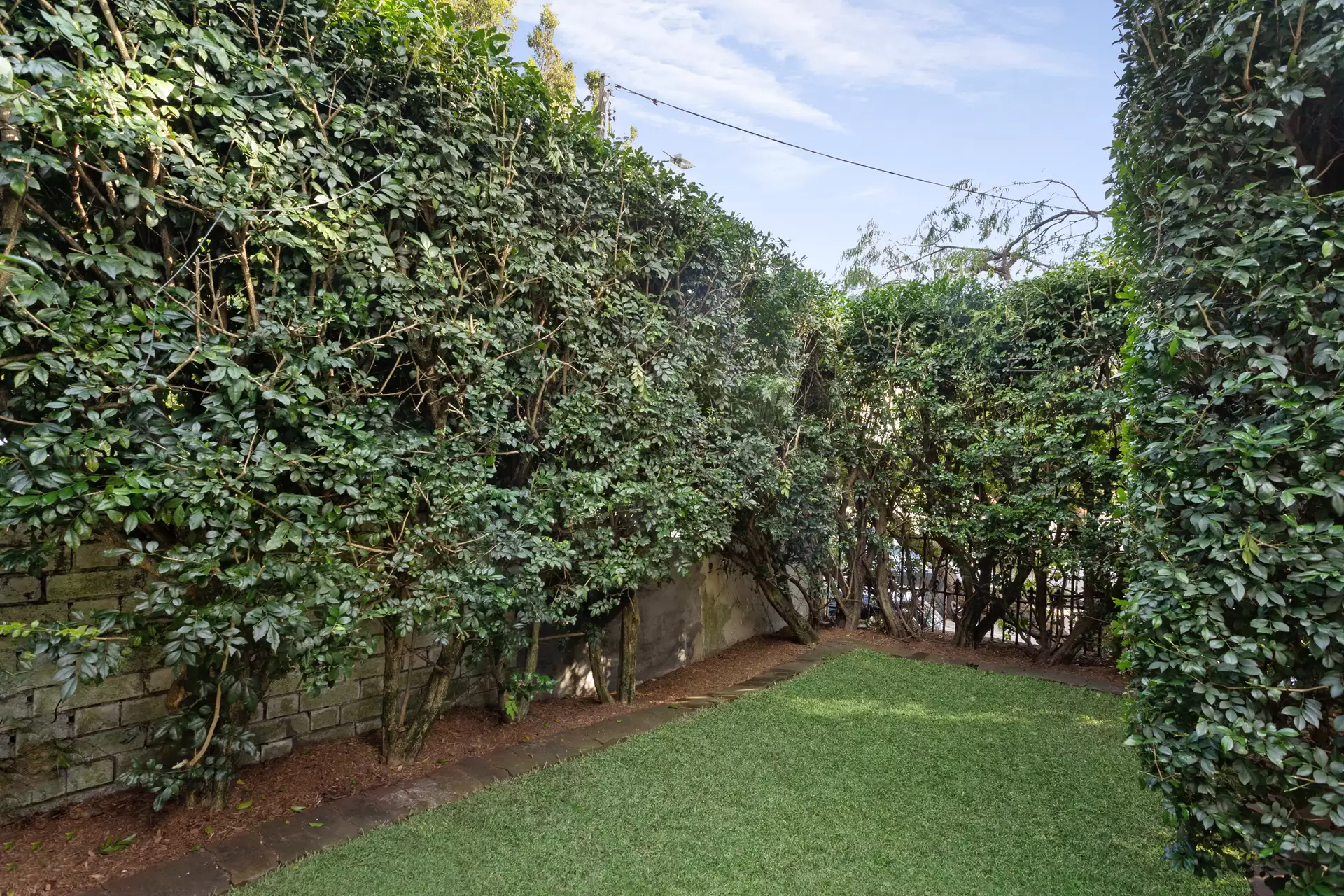 260 Edgecliff Road, Woollahra Leased by Sydney Sotheby's International Realty - image 1