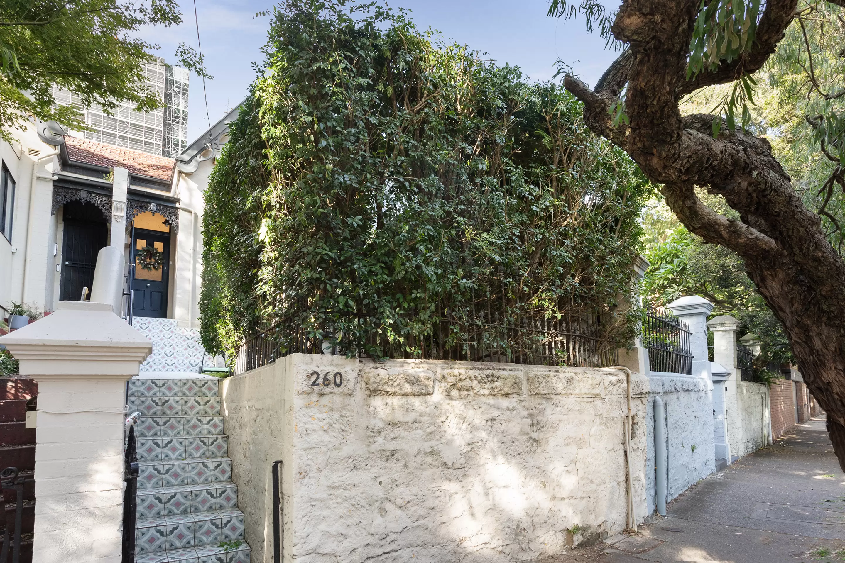 260 Edgecliff Road, Woollahra Leased by Sydney Sotheby's International Realty - image 11
