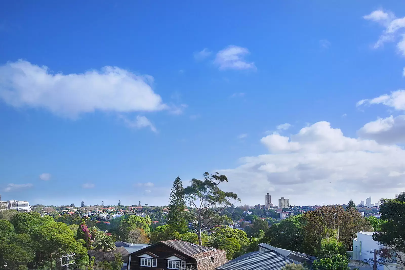 6/18 Streatfield Road, Bellevue Hill Sold by Sydney Sotheby's International Realty - image 11