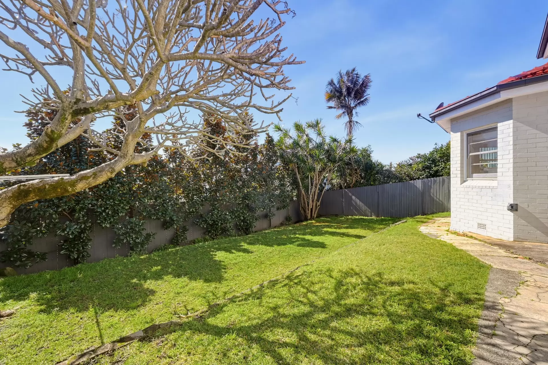 31 & 35  Division Street, Coogee Auction by Sydney Sotheby's International Realty - image 6