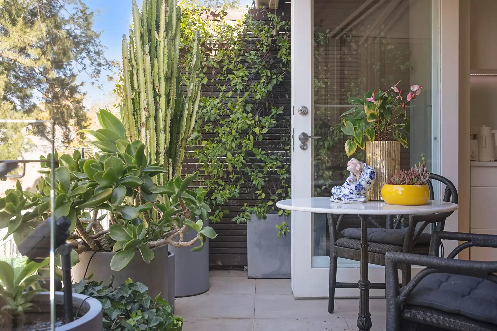 11 Bellevue Street, Glebe For Sale by Sydney Sotheby's International Realty - image 5