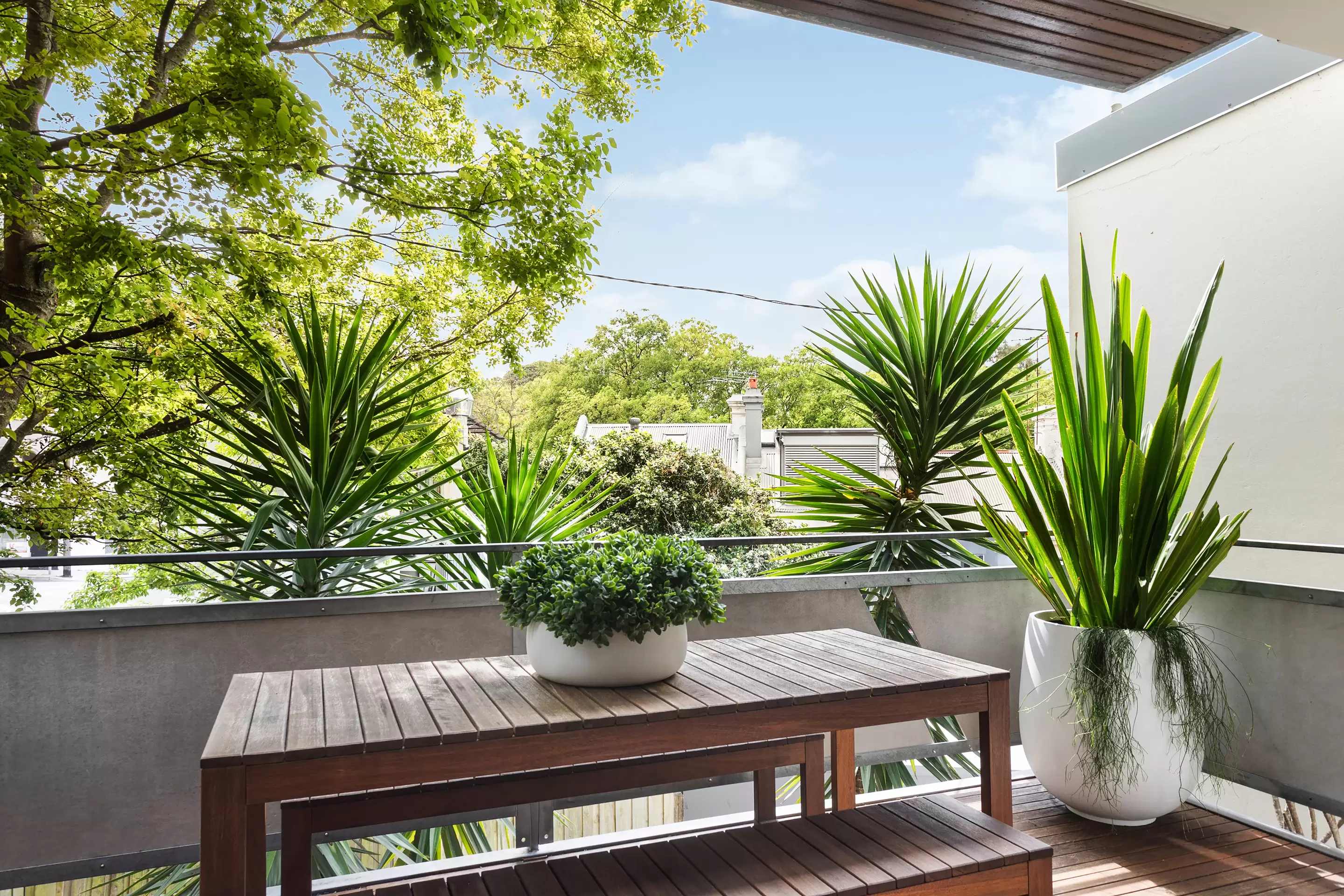 36 West Street, Darlinghurst Auction by Sydney Sotheby's International Realty - image 4