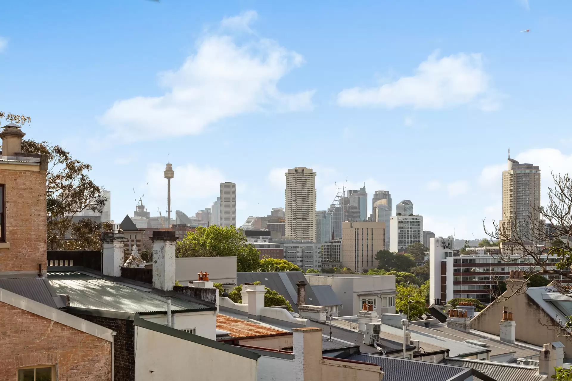 1C Heeley Street, Paddington Auction by Sydney Sotheby's International Realty - image 1