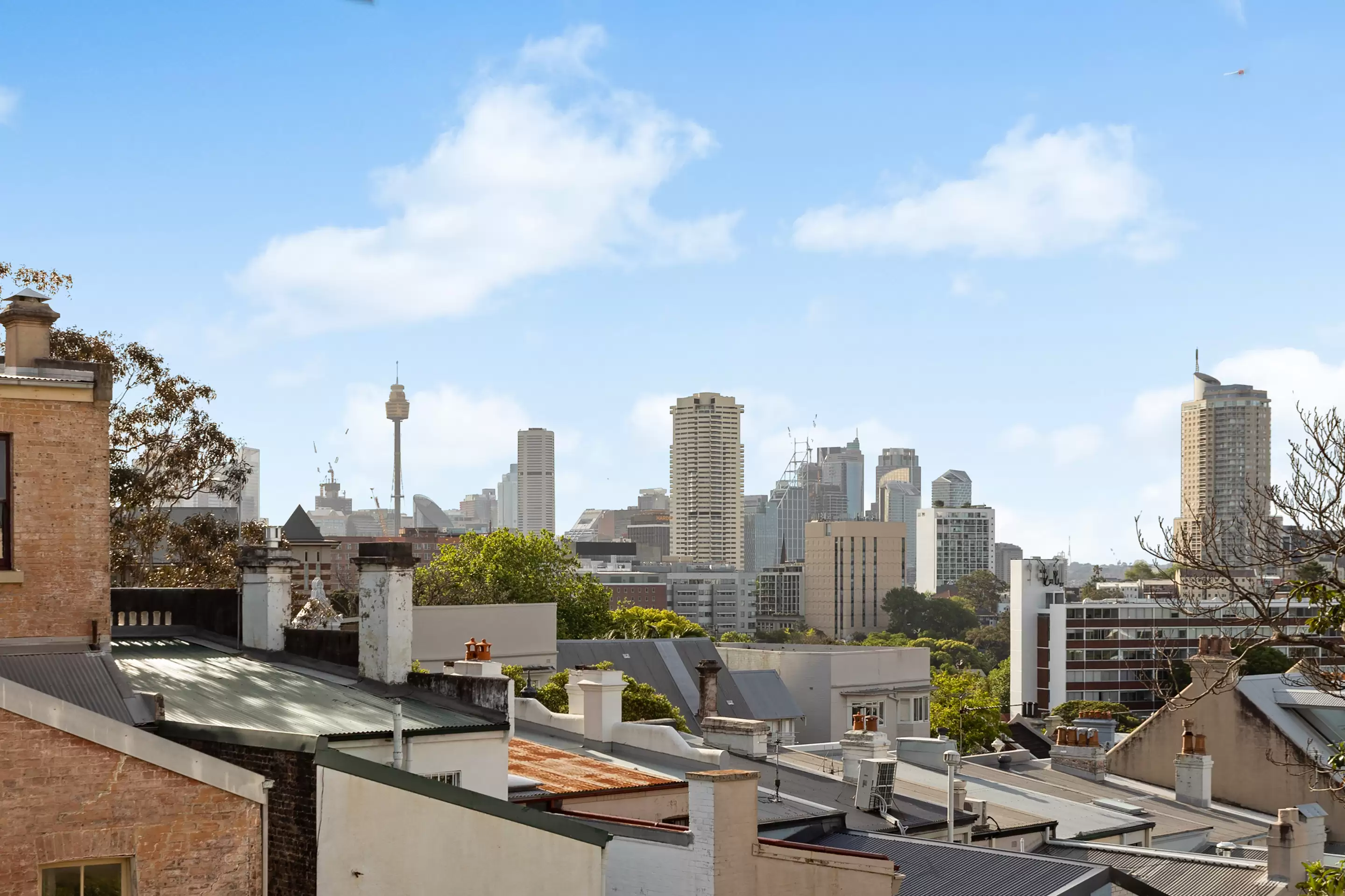 1C Heeley Street, Paddington Auction by Sydney Sotheby's International Realty - image 11