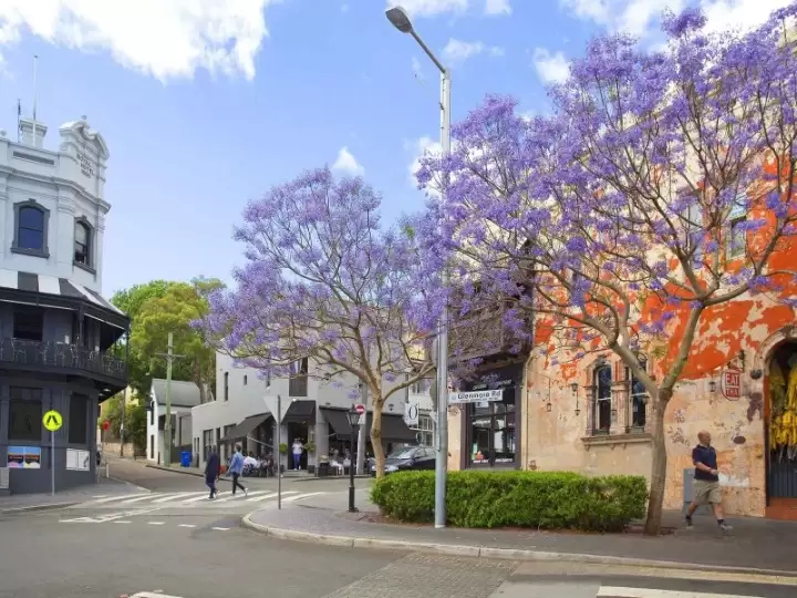 24/204-232 Jersey Road, Paddington For Lease by Sydney Sotheby's International Realty - image 7