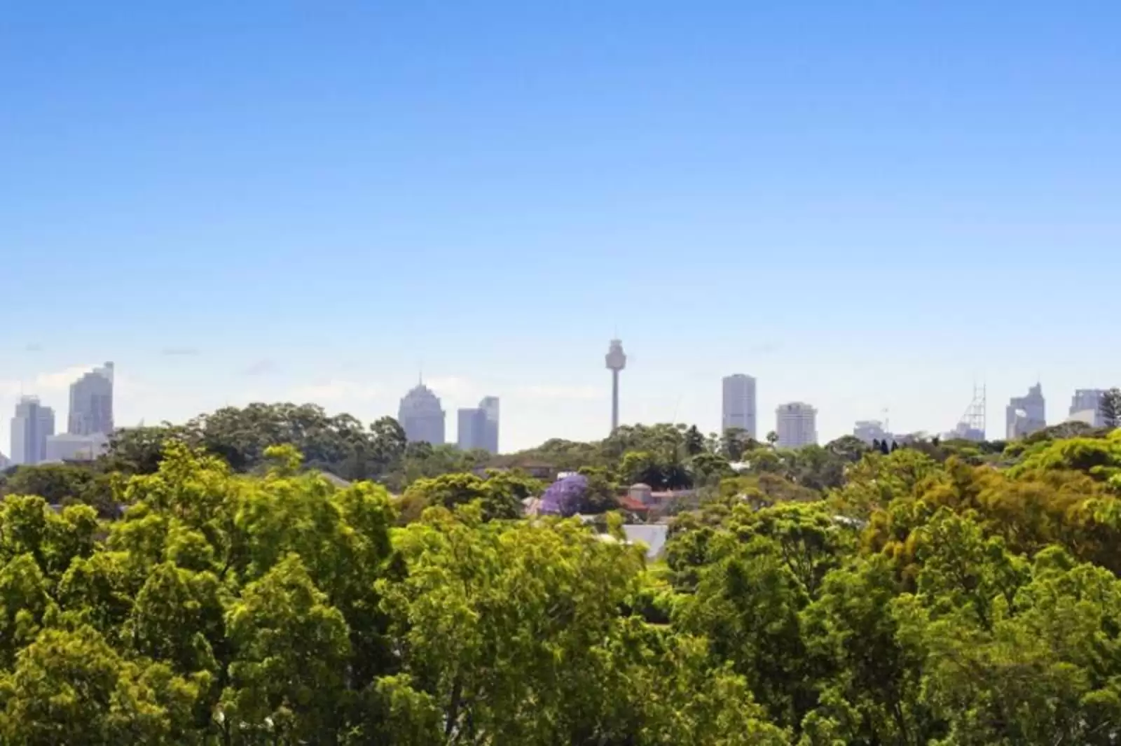 18/62-64 Queens Park Road, Queens Park Leased by Sydney Sotheby's International Realty - image 4