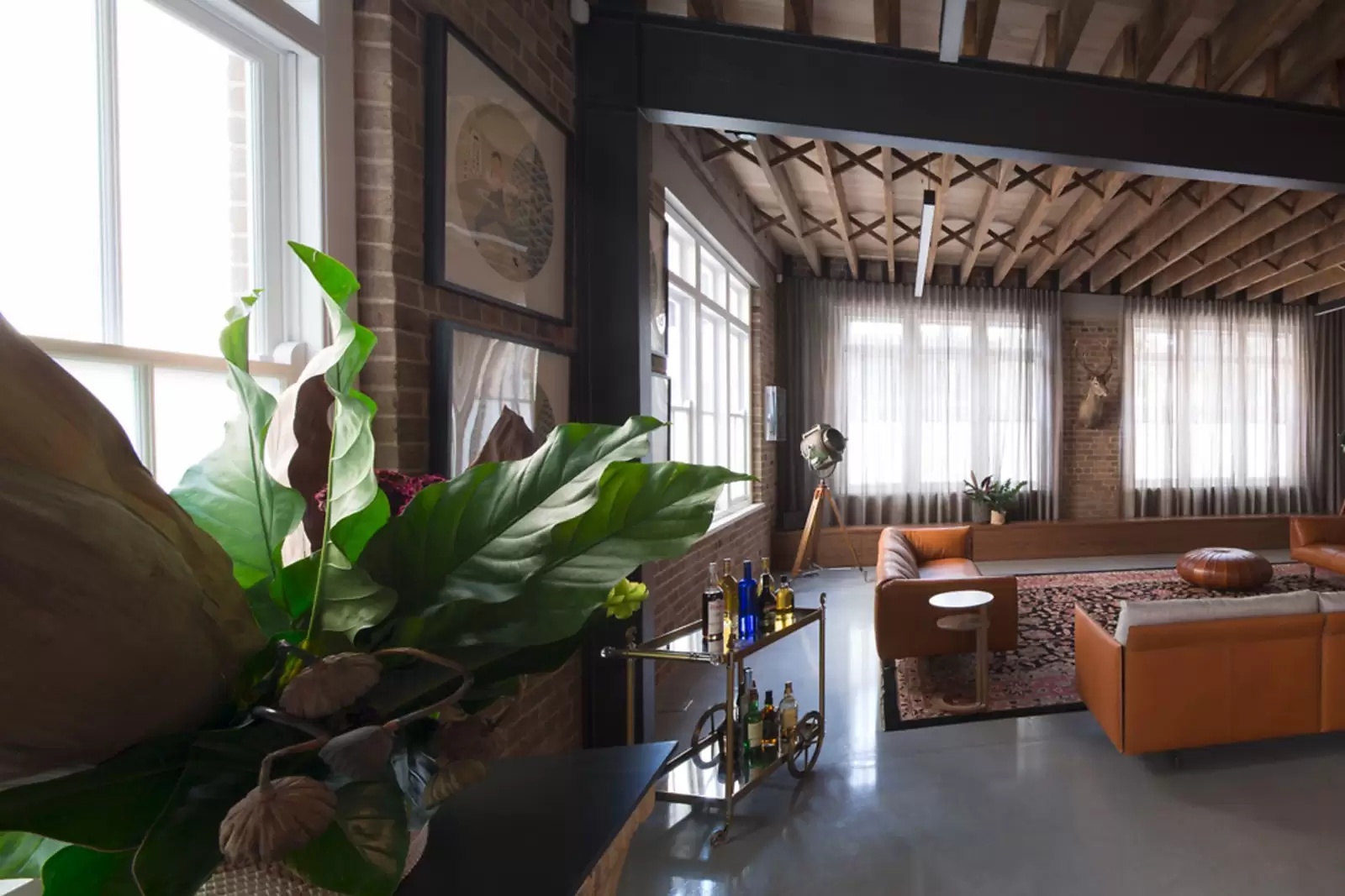 Chippendale Leased by Sydney Sotheby's International Realty - image 10