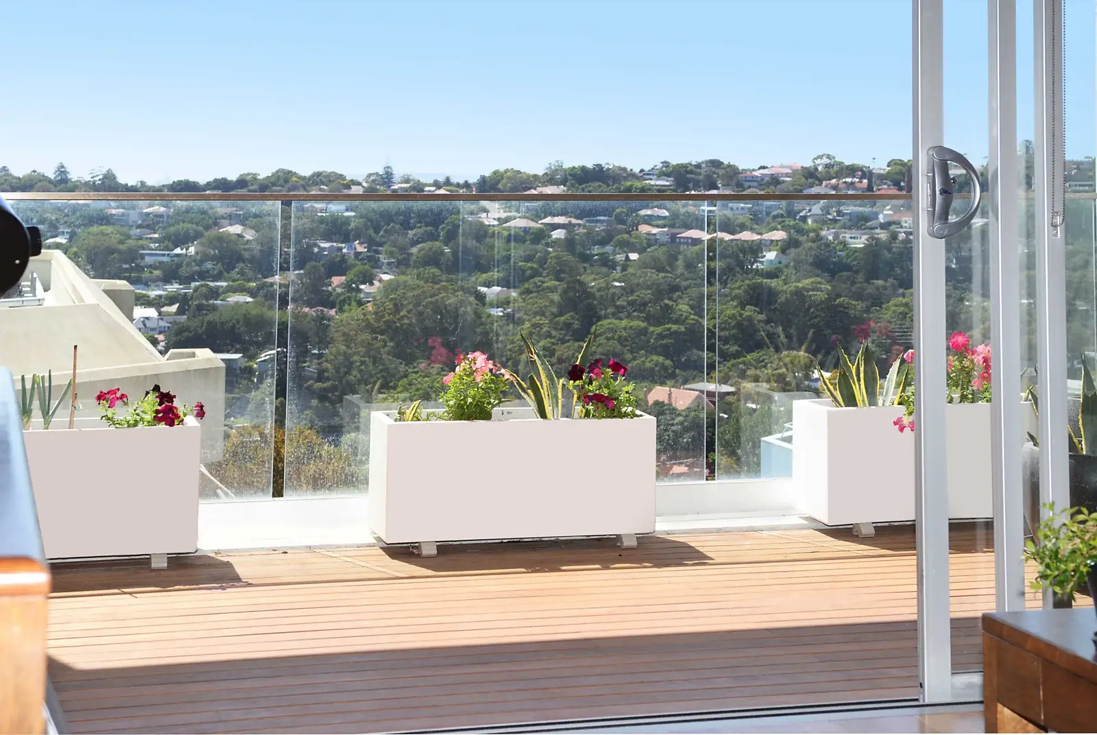 W805/310-330 Oxford Street, Bondi Junction Leased by Sydney Sotheby's International Realty - image 3