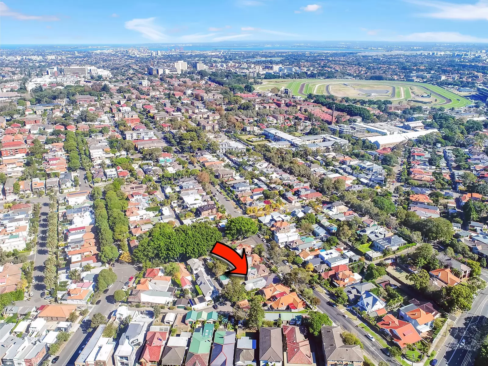 11 Wentworth Street, Randwick Sold by Sydney Sotheby's International Realty - image 10