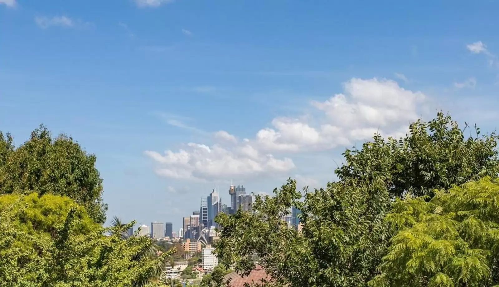 6/35 Wycombe Road, Neutral Bay Leased by Sydney Sotheby's International Realty - image 5