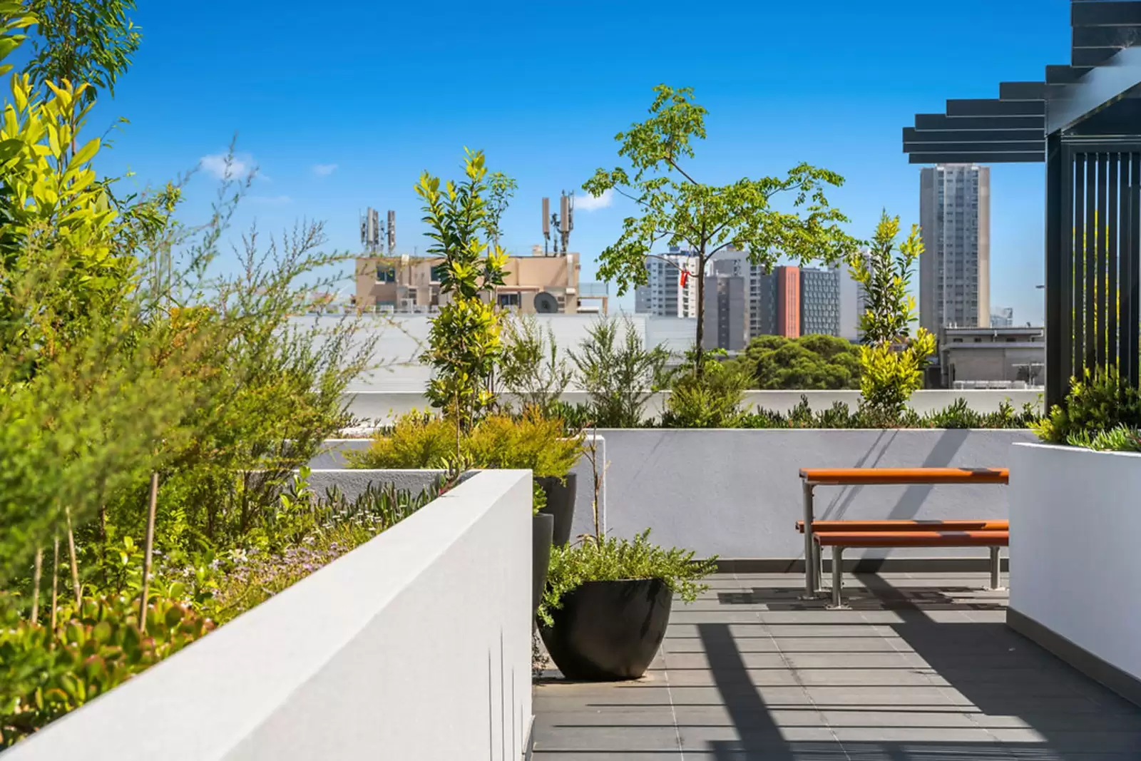 233 - 235 Botany Road, Waterloo Sold by Sydney Sotheby's International Realty - image 11