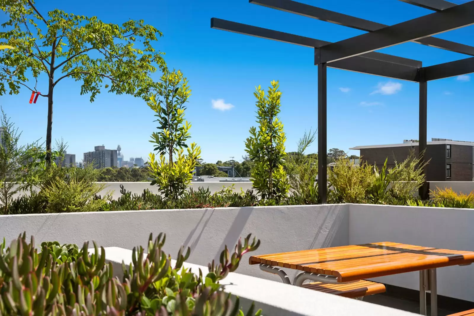 233 - 235 Botany Road, Waterloo Sold by Sydney Sotheby's International Realty - image 10