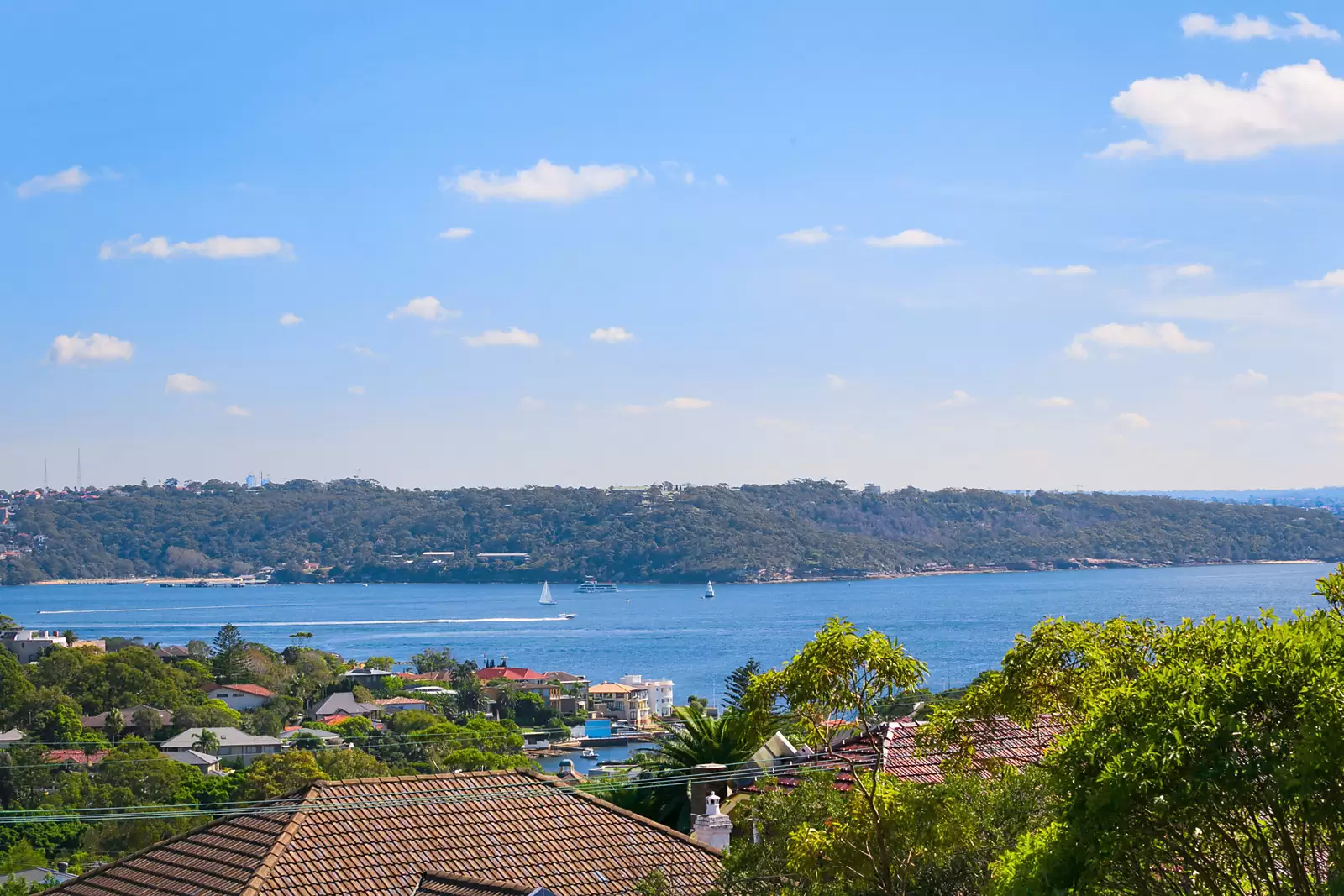 13 Village High Road, Vaucluse Leased by Sydney Sotheby's International Realty - image 12