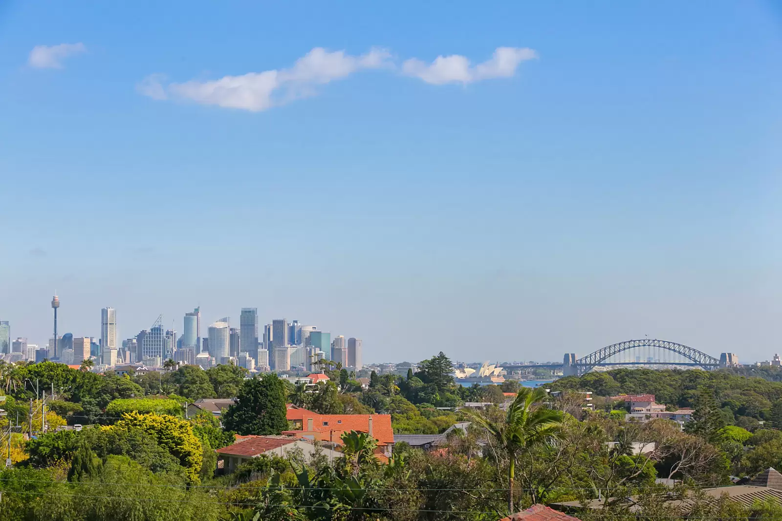 13 Village High Road, Vaucluse Leased by Sydney Sotheby's International Realty - image 13