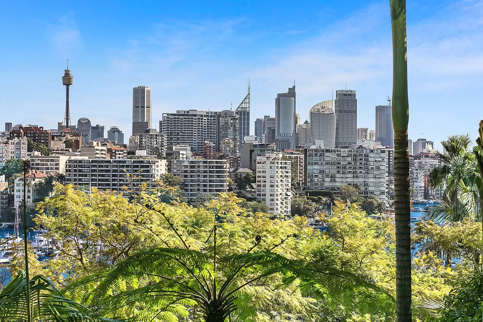 12 - 14 Yarranabbe Road, Darling Point Sold by Sydney Sotheby's International Realty - image 4