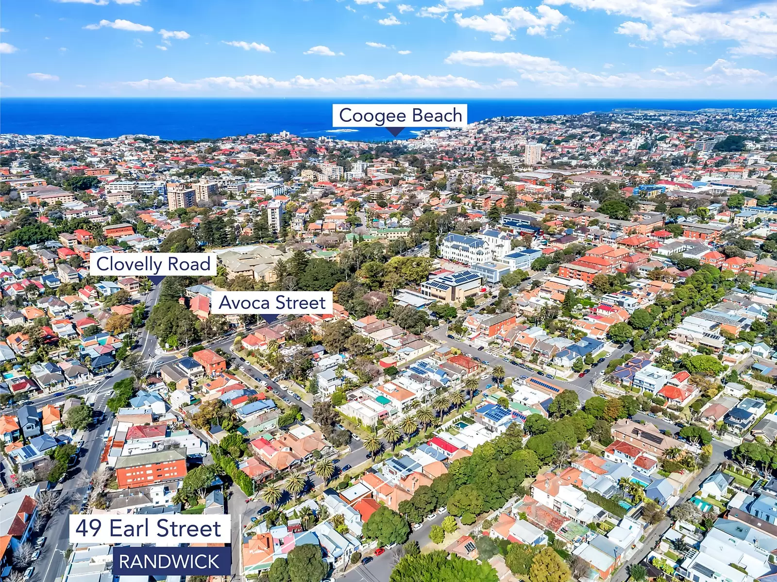 49 Earl Street, Randwick Sold by Sydney Sotheby's International Realty - image 14