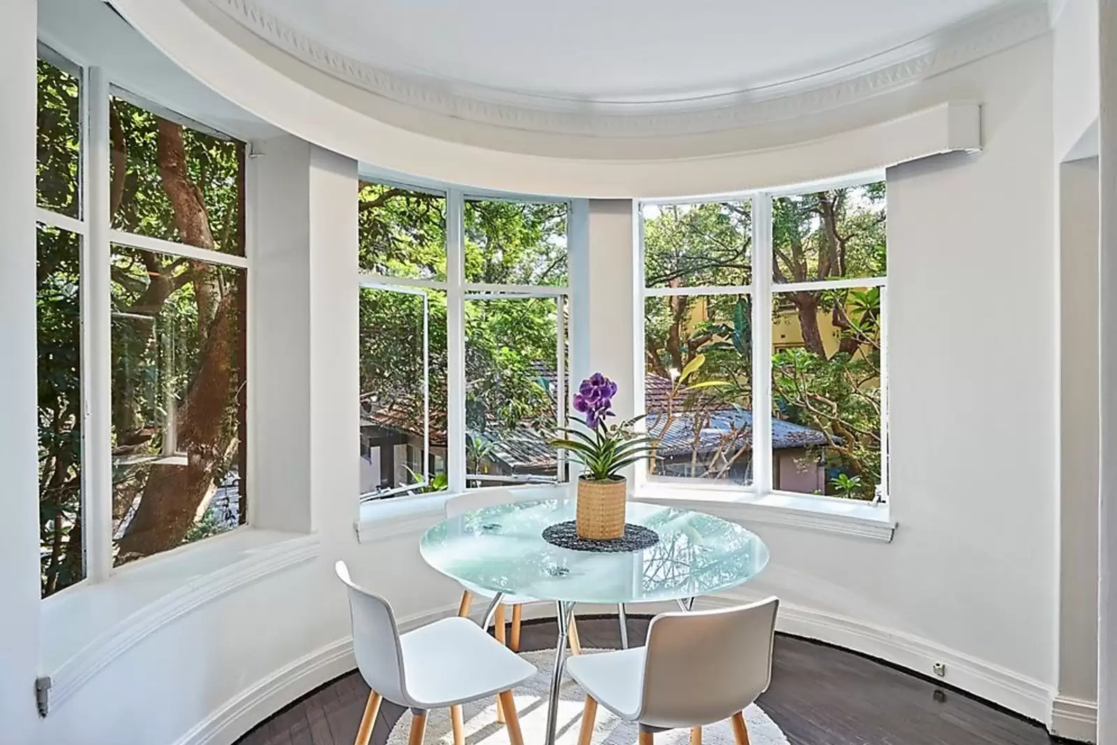 2/499 New South Head Road, Double Bay Leased by Sydney Sotheby's International Realty - image 4