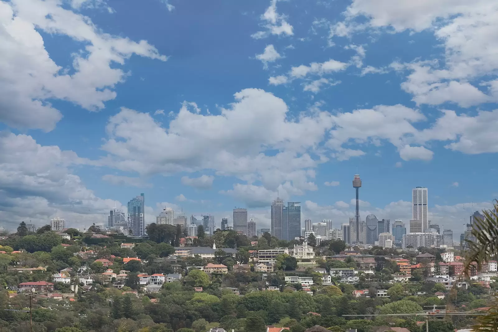 170 Military Road, Dover Heights Sold by Sydney Sotheby's International Realty - image 14