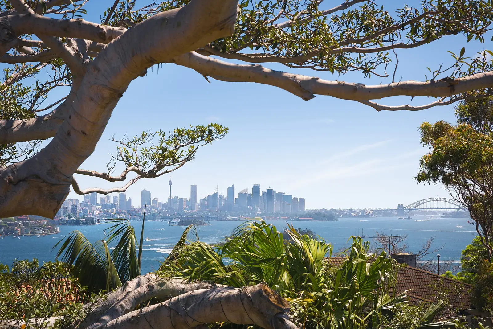 28 Wentworth Road, Vaucluse Sold by Sydney Sotheby's International Realty - image 2