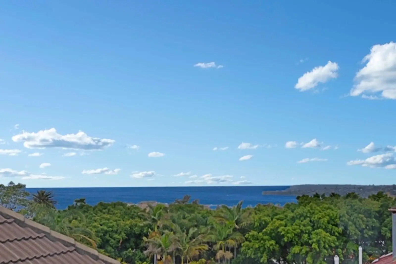 9/79 Macpherson Street, Bronte Leased by Sydney Sotheby's International Realty - image 1