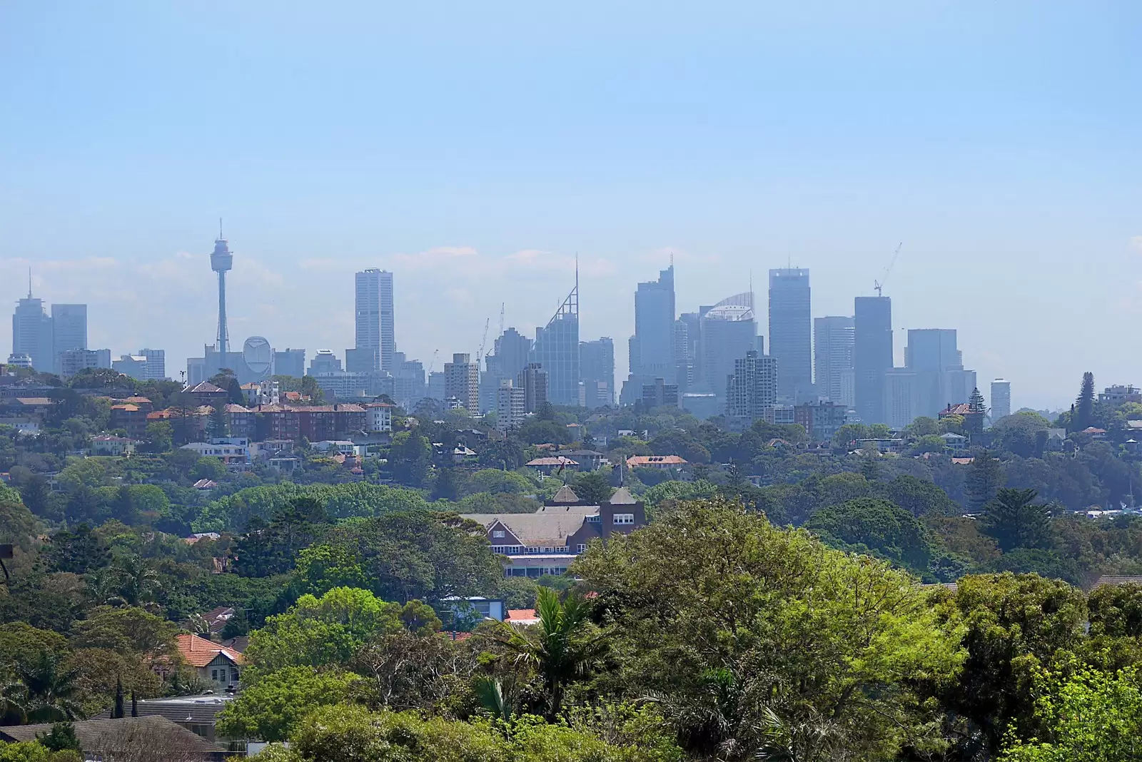 38 Beaumont Street, Rose Bay Sold by Sydney Sotheby's International Realty - image 14