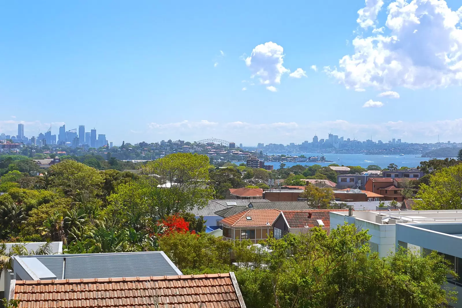 38 Beaumont Street, Rose Bay Sold by Sydney Sotheby's International Realty - image 13