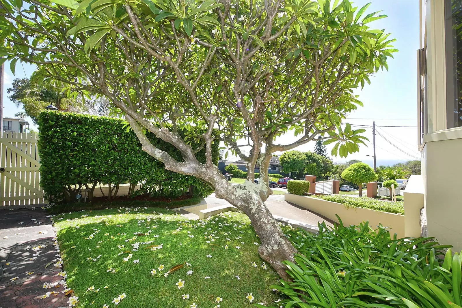 9 Clarendon Street, Vaucluse Leased by Sydney Sotheby's International Realty - image 25